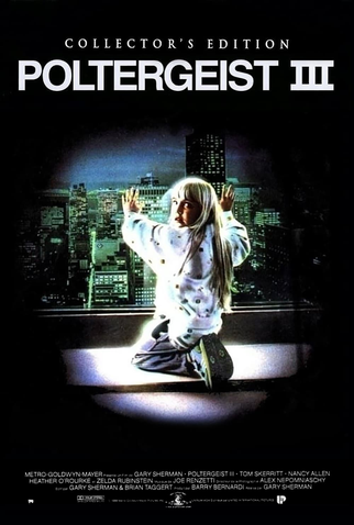 Poster 11 de Filme Poltergeist III: O Capítulo Final (1988)