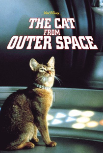 O Gato Que Veio do Espaço - Poster / Capa / Cartaz - Oficial 5