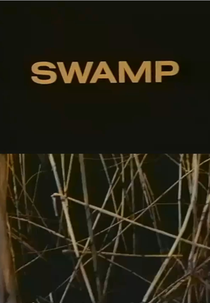 Swamp (Swamp)