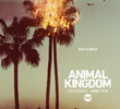 Animal Kingdom (1ª Temporada)