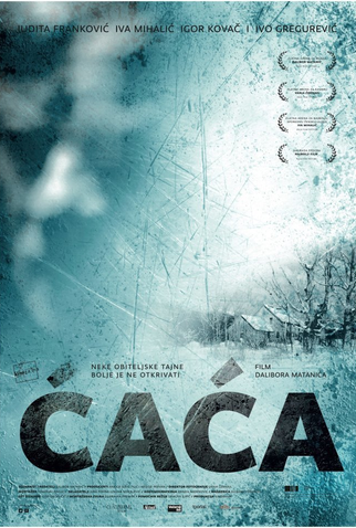Poster 1 de Filme Papai (2011)