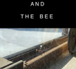 The Spider and the Bee