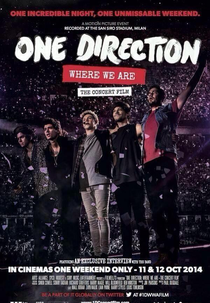 One Direction: Where We Are - The Concert Film (One Direction: Where We Are - The Concert Film)