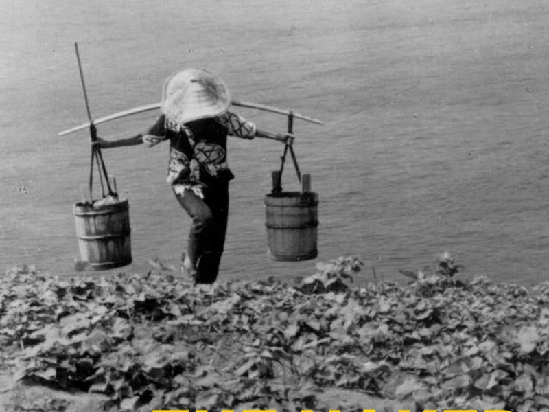 Foto 2 de A Ilha Nua