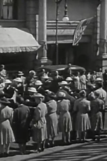 It's Everybody's War (It's Everybody's War)