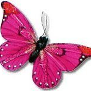 Foto de perfil de Borboleta Literária