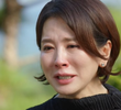 12회