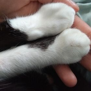 Foto de perfil de Janaina