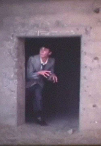 The Urban Leprechaun (The Urban Leprechaun)