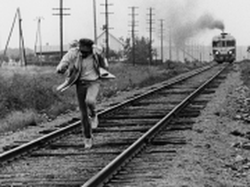 Foto 4 de Asfalttilampaat