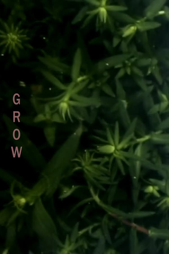 Poster de Curta Grow (2009)