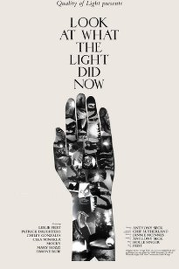 Poster de Filme Look at What the light did now (2010)