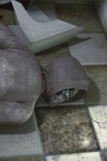 Poster de Curta ZeeC (2010)