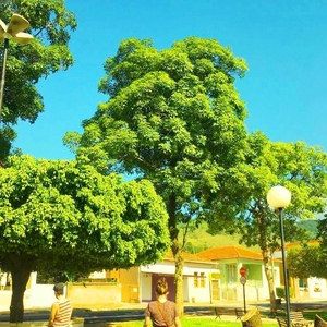 Foto de perfil de Nathália de Godoy