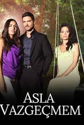 Poster 1 de Série Asla Vazgeçmem (2015)