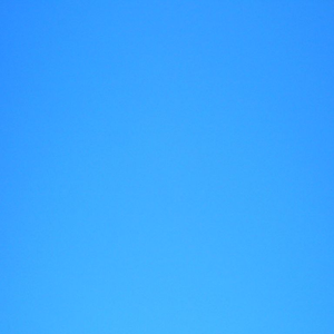 Foto de perfil de Ninguém