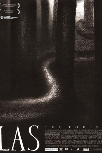 Poster de Filme Floresta (None)