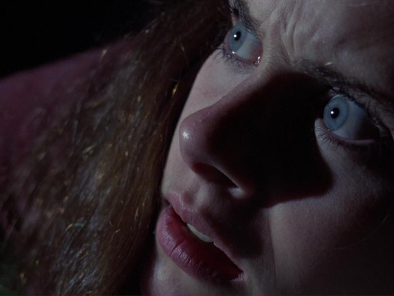 Foto 15 de Feliz Aniversário Para Mim