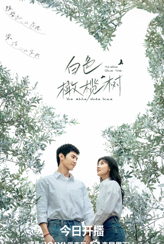 Poster 6 de Série The White Olive Tree (2025)