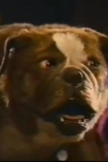 Poster de Curta Poochinski (1990)