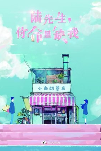 Poster de Série Mr. Lu, Your Life Lacks Me (2021)
