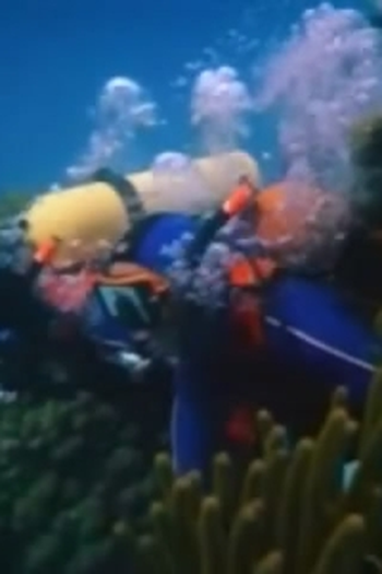 Poster de Episódio Sharks (1981)