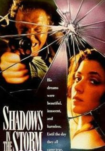 Um Grito na Noite (Shadows in The Storm)