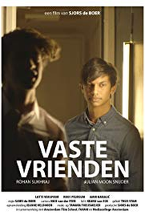 Vaste Vrienden - Poster / Capa / Cartaz - Oficial 1