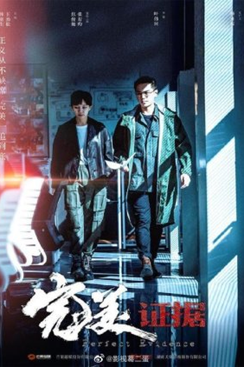Poster de Série Perfect Evidence (2022)