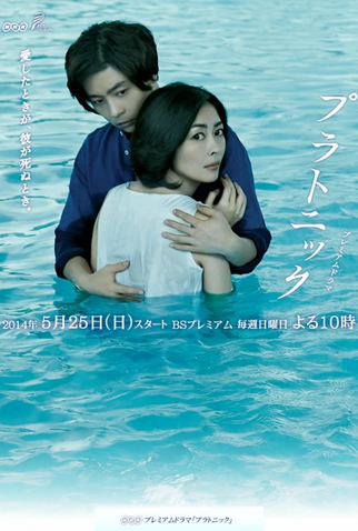Poster 1 de Série Platonic (2014)