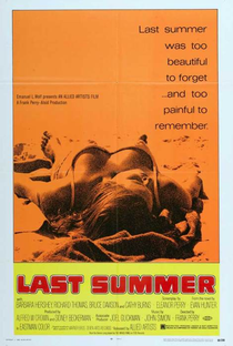 O Último Verão - Poster / Capa / Cartaz - Oficial 1