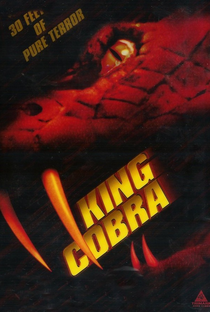 King Cobra - Poster / Capa / Cartaz - Oficial 1