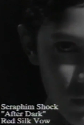 Poster 1 de Curta Seraphim Shock: After Dark (1997)