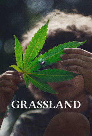 Poster 1 de Filme Grassland (2024)