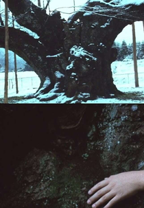 The Cherry Tree with Gray Blossoms (薄墨の桜)