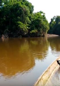 Águas do Juruá (Águas do Juruá)