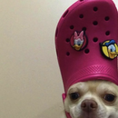 Foto de perfil de Juliette