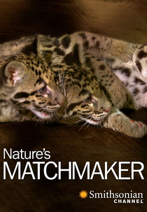 Nature's Matchmaker (Nature's Matchmaker)