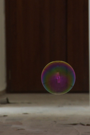 Poster de Curta O Inquilino (2010)