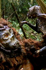 Segredos da mata (Segredos da mata)