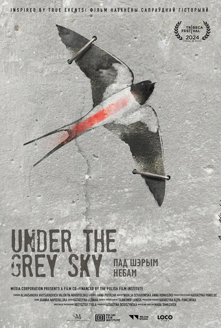 Poster 1 de Filme Under the Grey Sky (2024)