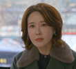 66회