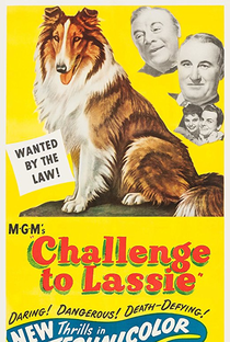 Desafio de Lassie - Poster / Capa / Cartaz - Oficial 1