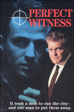 Testemunha Perfeita (Perfect Witness)