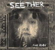 Seether: Fine Again