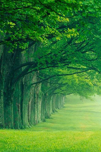  de Filme Aaja Nachle (2007)