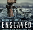 Escravidão: Uma História de Injustiça