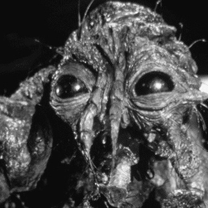 Foto de perfil de henrique