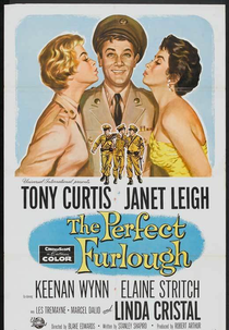 De Folga Para Amar (Perfect Furlough, The)