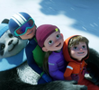 Winter Wonder